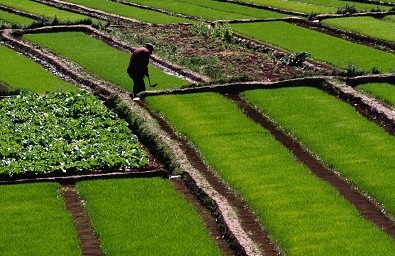 賦權(quán)、公平、平穩(wěn)——土地制度改革三個(gè)核心點(diǎn)