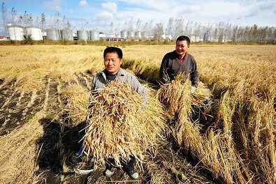 解讀三中全會(huì)《決定》有關(guān)農(nóng)村改革