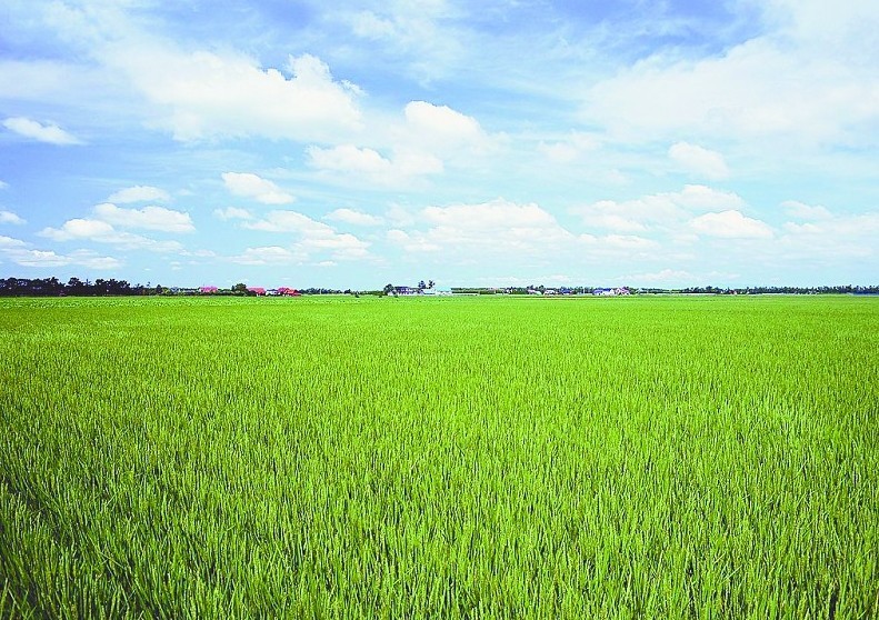 農(nóng)村集體建設(shè)用地流轉(zhuǎn)方案難有大突破