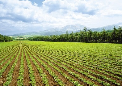 土地制度將迎大變革 重金修復(fù)污染耕地