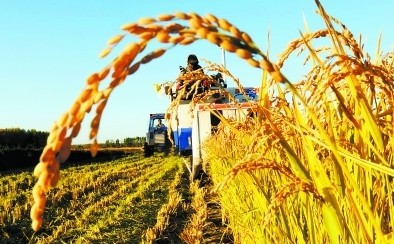 2014年糧食產(chǎn)量目標提高至11000億斤以上