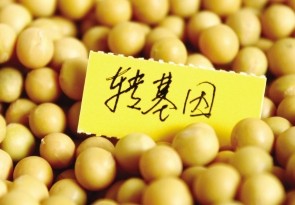 國務(wù)院曬權(quán)力清單 轉(zhuǎn)基因列農(nóng)業(yè)部審批首位