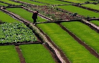 多地加速試點農地抵押貸款 探索多方式防風險