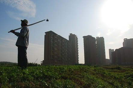 陳錫文：認清兩種農(nóng)業(yè)、農(nóng)村、農(nóng)民和土地