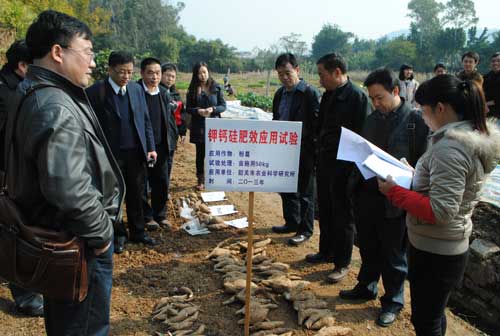 一邊開展田間試驗 一邊籌劃生產(chǎn)布局 鉀鈣硅肥產(chǎn)業(yè)化露端倪 調(diào)理土壤改善食物品質(zhì)  