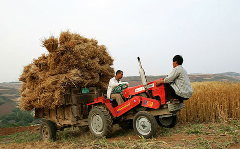 未來十年中國農(nóng)業(yè)：部分農(nóng)產(chǎn)品存在缺口