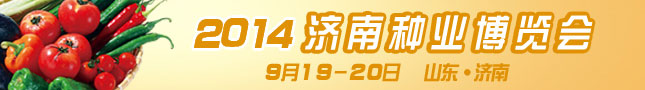 2014濟南種子會 “種子紅娘”成熱門