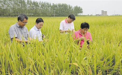 中央財政26億元支持農(nóng)林業(yè)科技成果轉(zhuǎn)化及推廣