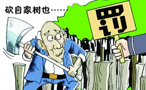 農(nóng)民無證采伐砍自家樹 涉嫌濫伐林木罪