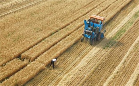 青島市在今年5月份率先在全市26個糧食流通企業(yè)中開展了庫存糧食識別代碼試點，