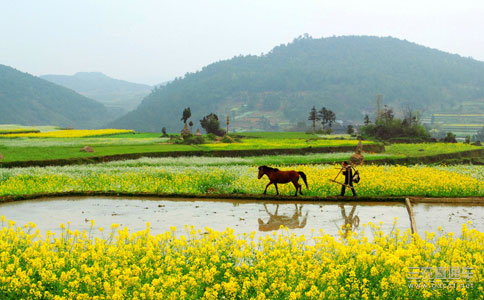 專家：2015年續(xù)推農(nóng)村土地改革多項(xiàng)試點(diǎn)