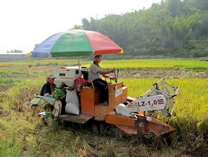 河北省代表委員建言獻策讓種地成職業(yè)讓農(nóng)民有職稱.jpg