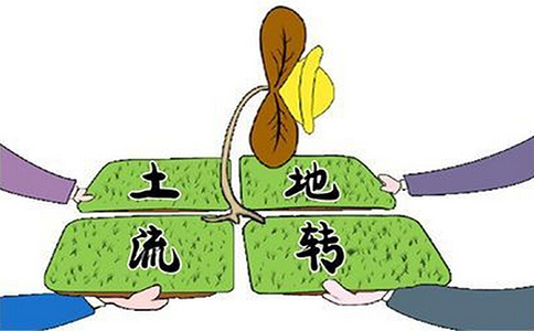 休閑農(nóng)業(yè)土地流轉(zhuǎn)的五個關(guān)鍵點是什么?