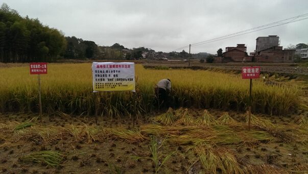 施地佳土壤調(diào)理劑雙季早稻田間示范報(bào)告