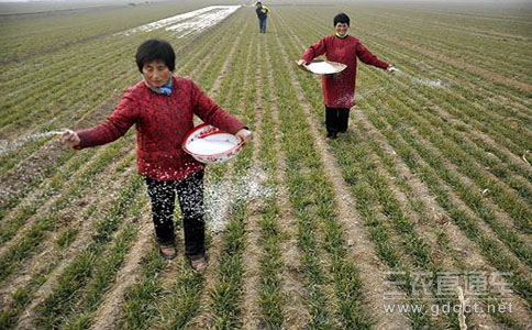 各地加大補(bǔ)貼、貸款等手段助力農(nóng)民保障春耕