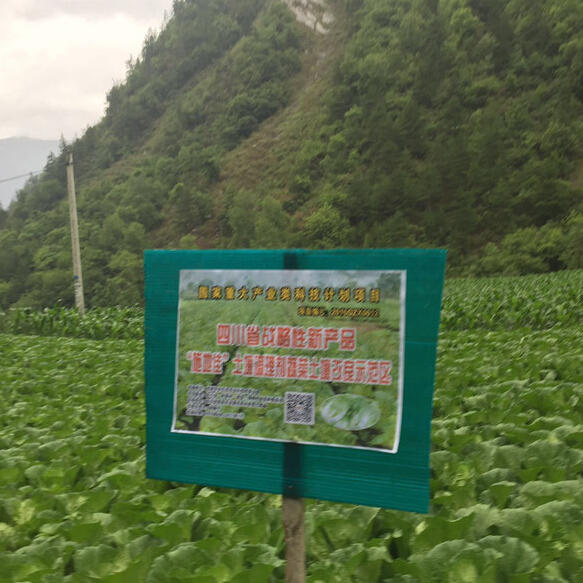 成都華宏生物一行前往四川理縣視察蔬菜試驗示范地