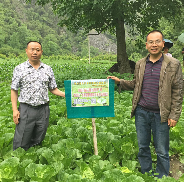 成都華宏生物一行前往四川理縣視察蔬菜試驗示范地