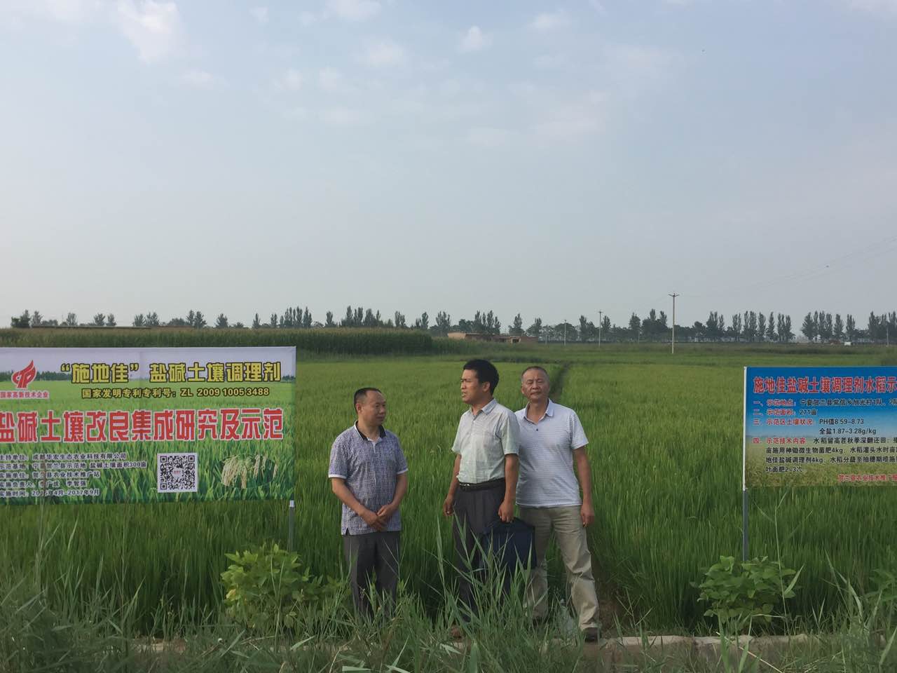 成都華宏生態(tài)“施地佳”產(chǎn)品讓水稻棄耕田“起死回生”