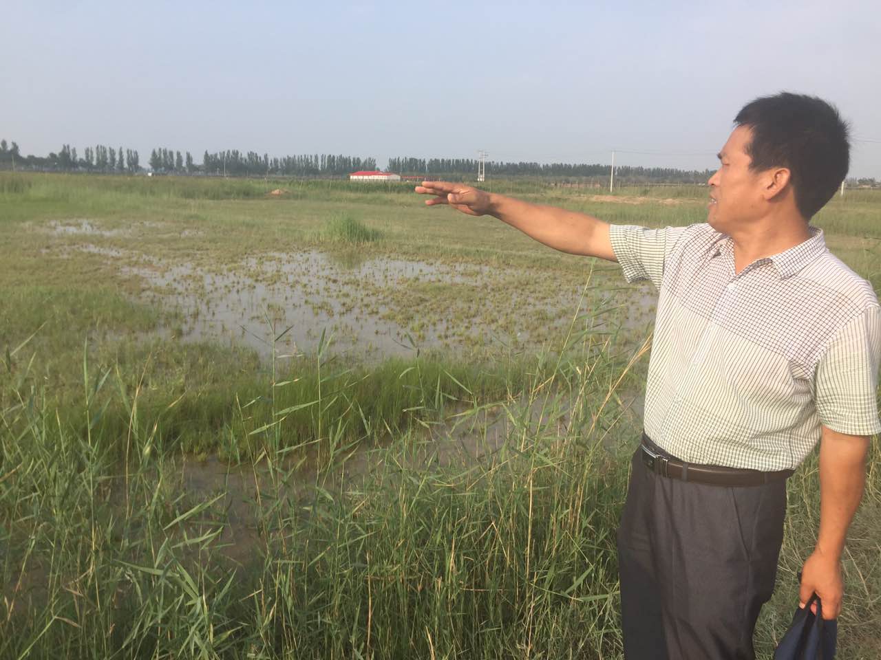 成都華宏生態(tài)“施地佳”產(chǎn)品讓水稻棄耕田“起死回生”