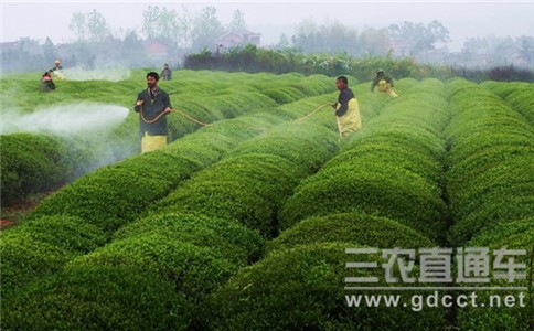 新環(huán)保法：使用禁用農藥將嚴處