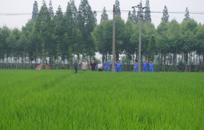 施地佳土壤調理劑采用新技術改善土壤酸化現象取得突破