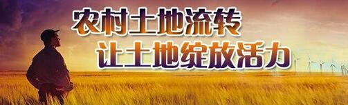 土地流轉(zhuǎn)平臺(tái)之殤，能否跨過(guò)這幾個(gè)致命的坎兒