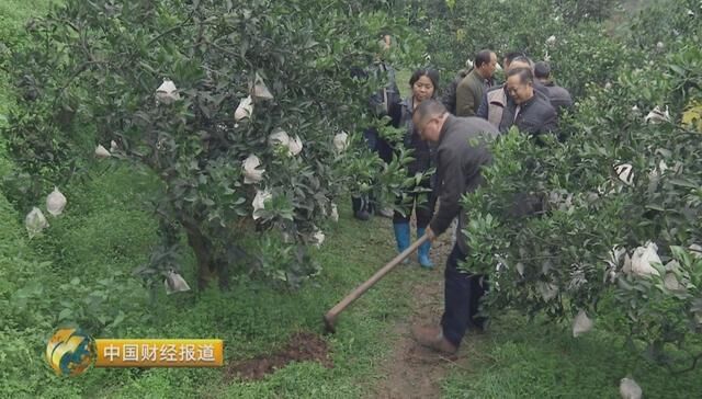 CCTV-2財經(jīng)頻道報道《造田高手的秘密》