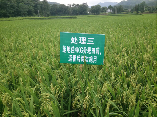 成都華宏“施地佳”土壤調(diào)理改良江西興國(guó)縣酸化土壤獲得成功