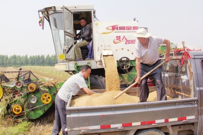 河南提前落實(shí)機(jī)收機(jī)種面積超2700萬畝.jpg