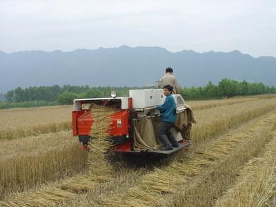 安徽農(nóng)機跨區(qū)支援戰(zhàn)“三夏” 發(fā)揮麥收主力優(yōu)勢