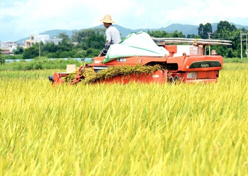 機(jī)械化讓種糧更簡單.jpg