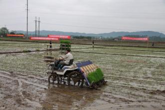 水稻生產(chǎn)全程機(jī)械化.jpg