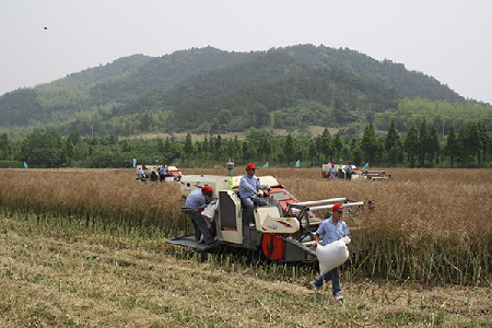 農(nóng)機(jī)合作社助貧困戶脫貧.jpg