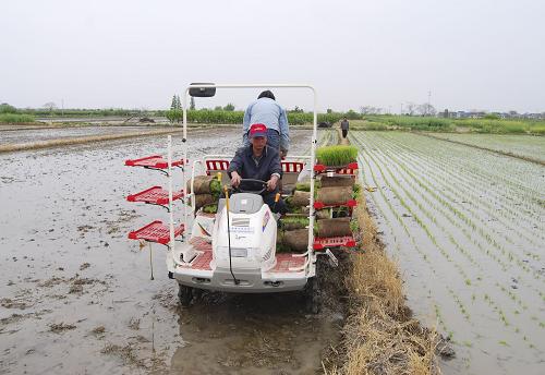 浙江農(nóng)業(yè)三項(xiàng)補(bǔ)貼政策綜合改革方案出爐.jpg