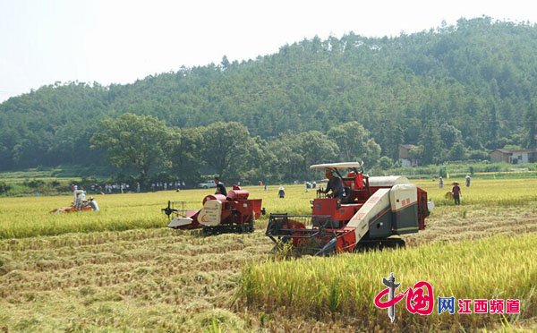 江西去年農(nóng)機(jī)補貼使用與結(jié)算進(jìn)度均居全國“第一”.jpg