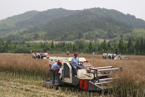 廣西農(nóng)機購置去年補貼5.45億 受益農(nóng)戶20.32萬戶.jpg