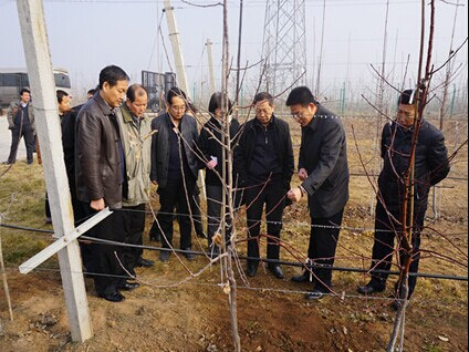 全國(guó)首個(gè)“果園機(jī)械化示范基地”落戶寶雞市千陽(yáng)縣.jpg