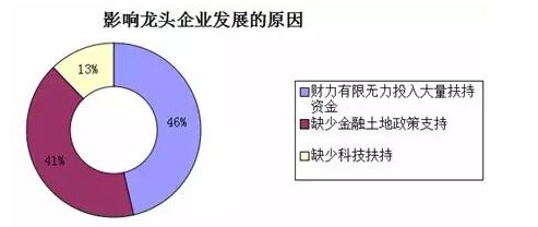 中國農(nóng)業(yè)現(xiàn)代化的真相：來自基層的調(diào)查報告6.png