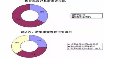 中國農(nóng)業(yè)現(xiàn)代化的真相：來自基層的調(diào)查報(bào)告12.png