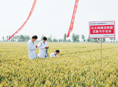 全國(guó)農(nóng)業(yè)技術(shù)推廣服務(wù)中心在全國(guó)各地開(kāi)展緩控釋肥示范推廣工作.jpg