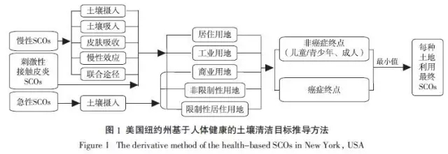 污染土壤修復(fù)基準(zhǔn)值推導(dǎo)和確立的原則與方法