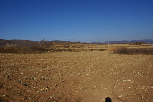 永久基本農(nóng)田.jpg