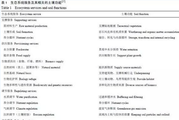 全球變化下的土壤及其功能與生態(tài)系統(tǒng)服務(wù)