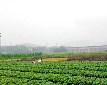 土壤家底待摸清 修復(fù)技術(shù)待提高