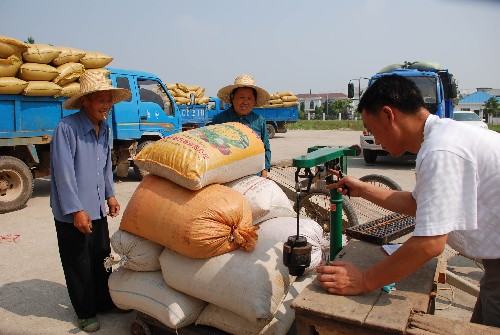 小麥?zhǔn)召?gòu).jpg