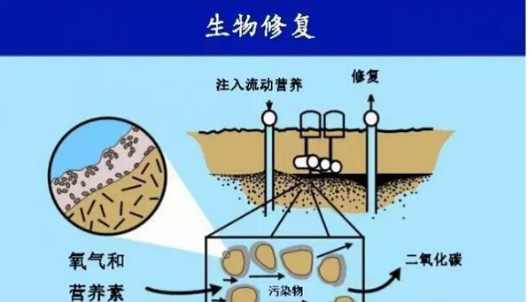 土壤修復(fù)新技術(shù)之 微生物與納米粒子的聯(lián)姻