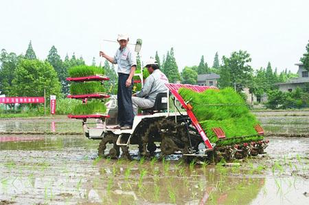 水稻插秧機(jī).jpg