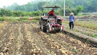 馬鈴薯收獲機(jī).jpg