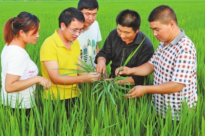 土壤要健康化肥零增長