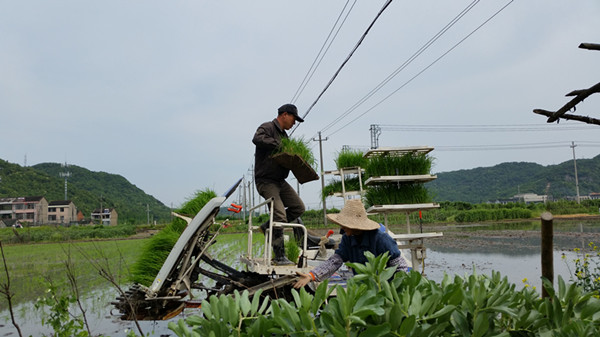 “機(jī)器換人”讓農(nóng)業(yè)后繼有人 “糧二代”開(kāi)著農(nóng)機(jī)回來(lái)了.jpg